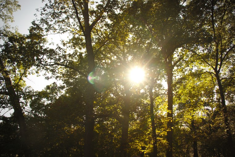 Developed using darktable 2.6.2